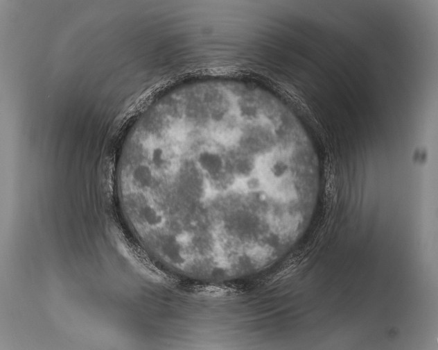 X0000114680542200911181232