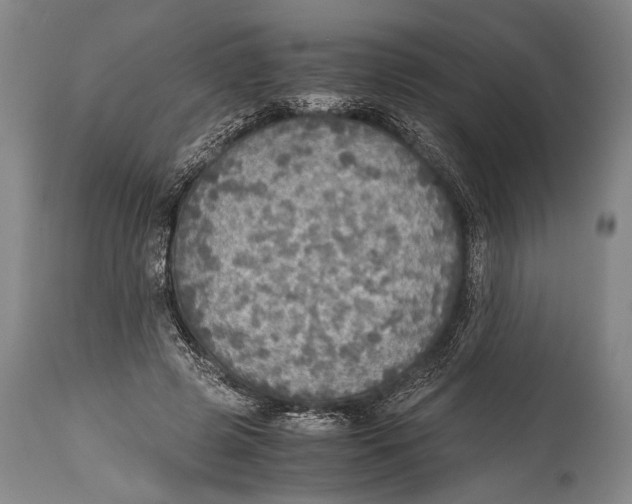 X0000114680545200911181232