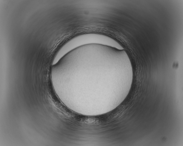 X0000114680546200911181232