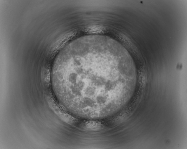 X0000114680549200911181232