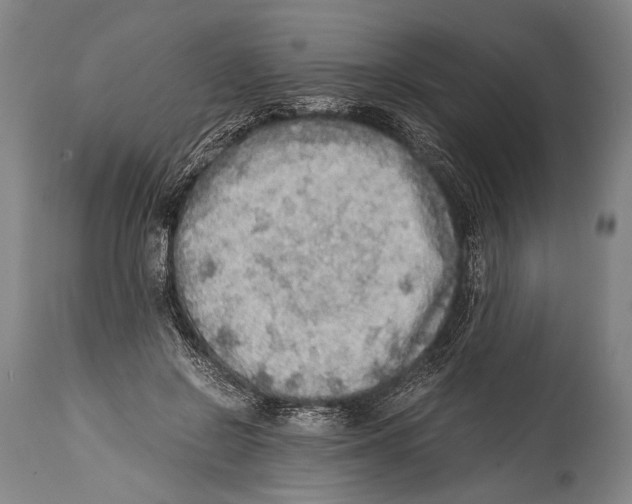 X0000114680550200911181232