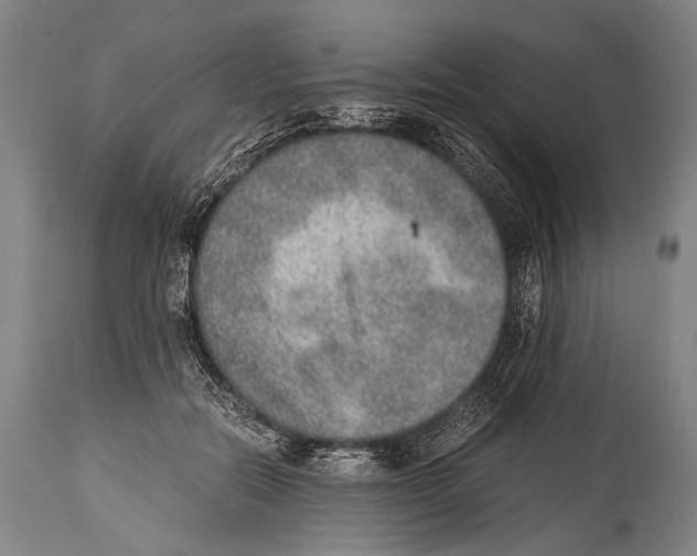 X0000114680554200911181232