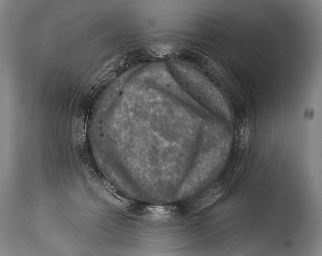 X0000114680558200911181233
