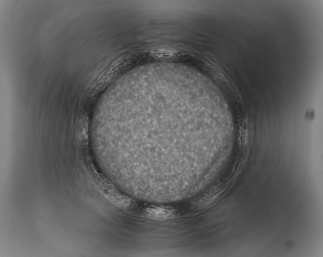 X0000114680561200911181233