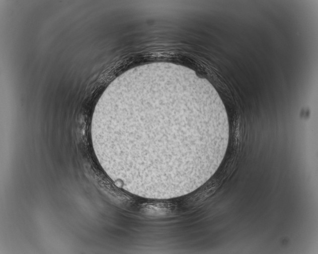 X0000114680567200911181233