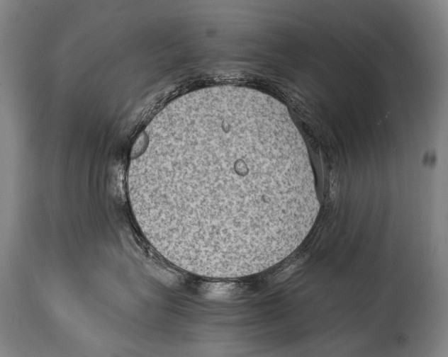 X0000114680575200911181233