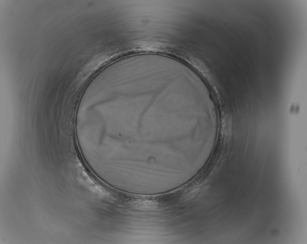 X0000114680577200911181232