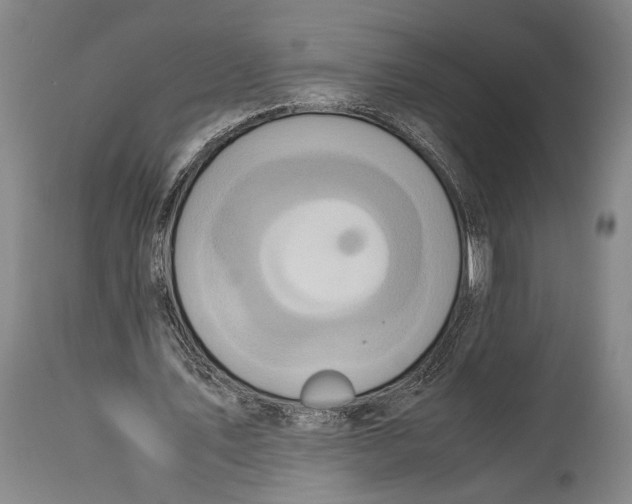 X0000114680579200911181232