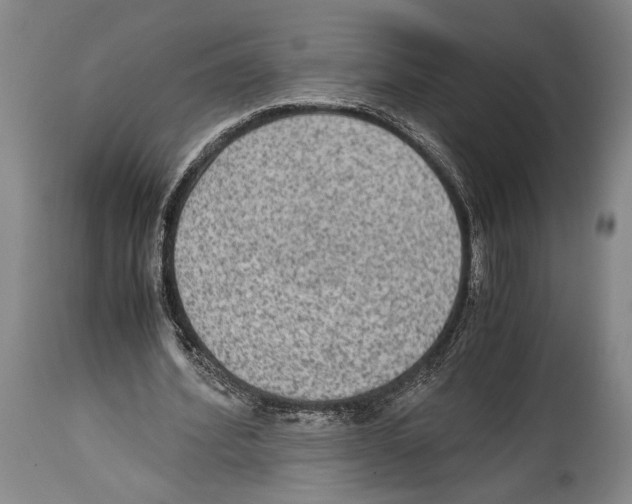 X0000114680580200911181232