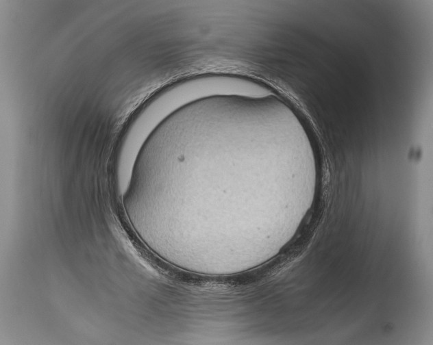 X0000114680581200911181232