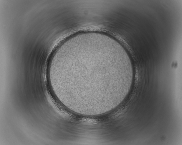 X0000114680582200911181232