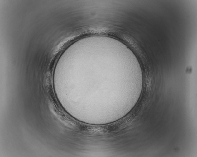 X0000114680583200911181232