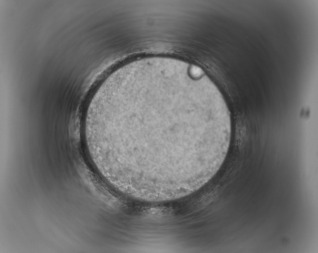 X0000114680584200911181232