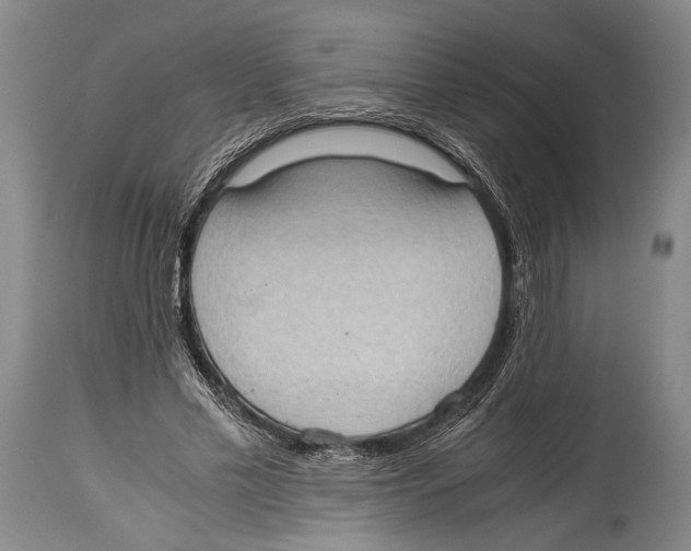 X0000114680589200911181232