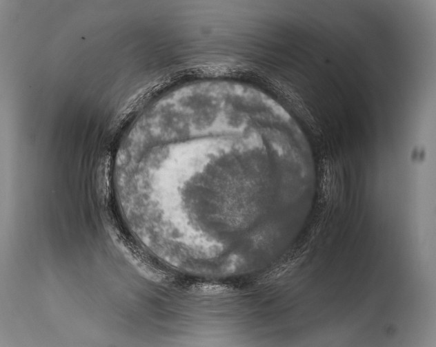 X0000114680590200911181232