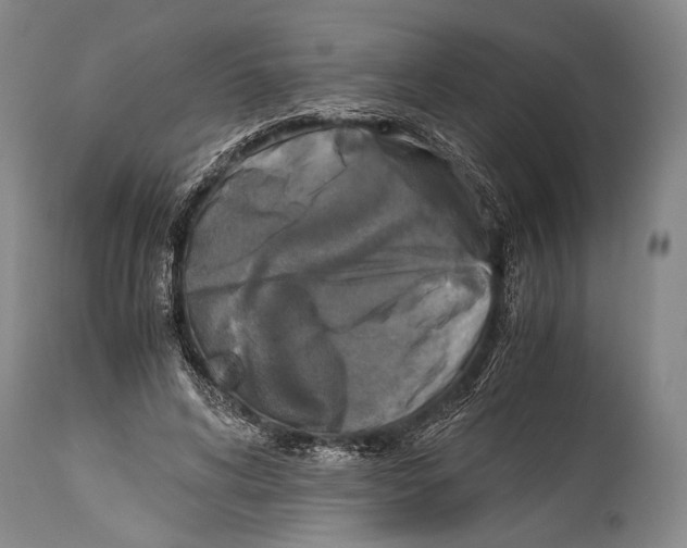 X0000114680592200911181232