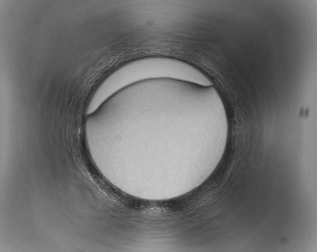X0000114680593200911181232