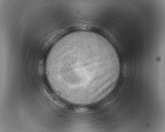 X0000114680594200911181232