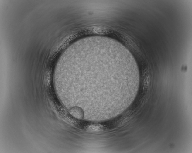 X0000114680595200911181232