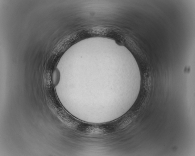 X0000114680597200911181232