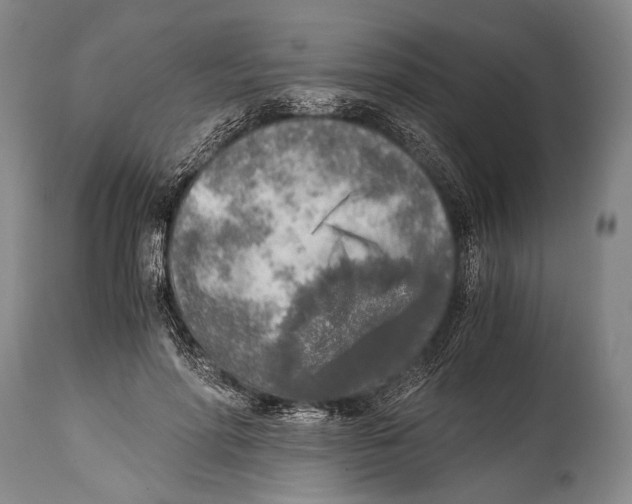 X0000114680598200911181232