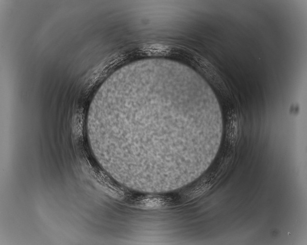 X0000114680604200911181232