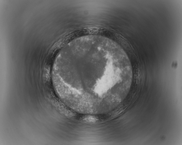 X0000114680610200911181232