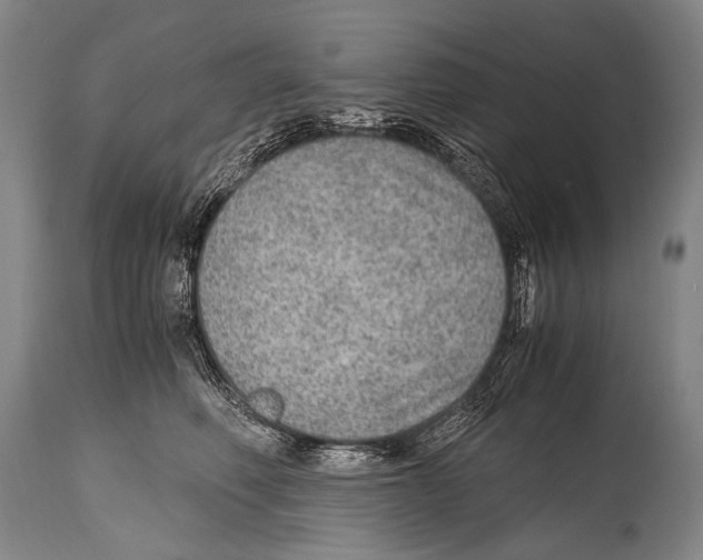 X0000114680614200911181232