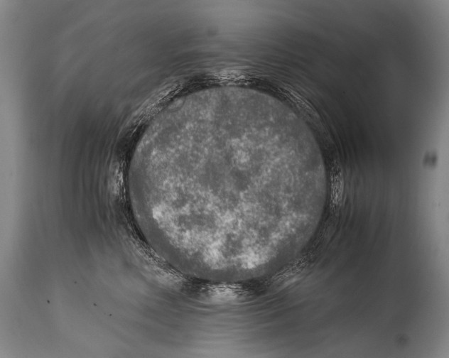 X0000114680618200911181232