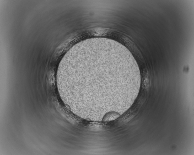 X0000114680620200911181232