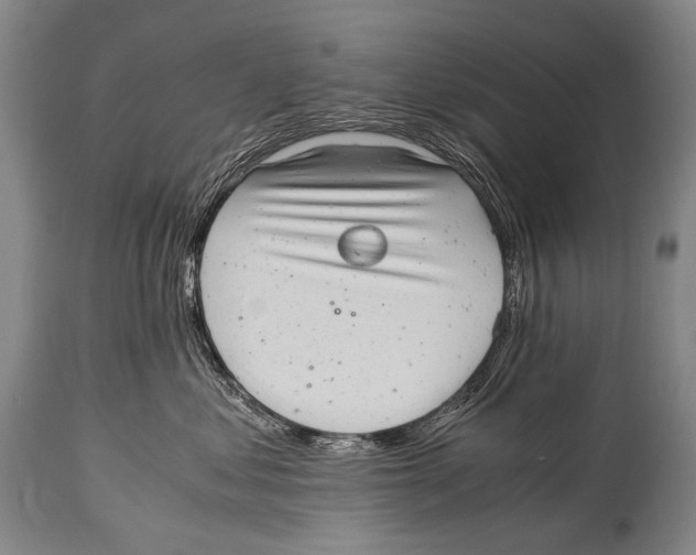 X0000114680621200911181231