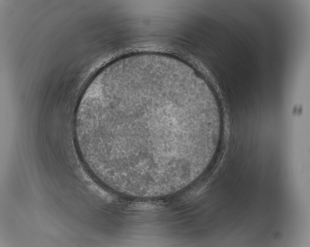 X0000114680625200911181231