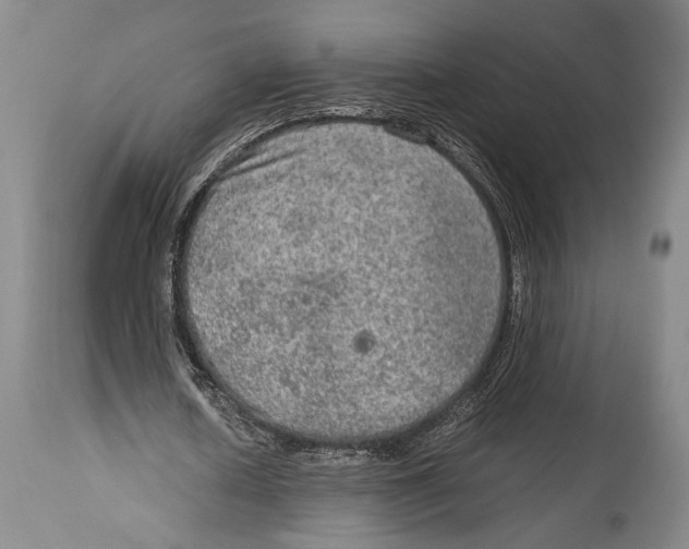 X0000114680626200911181231