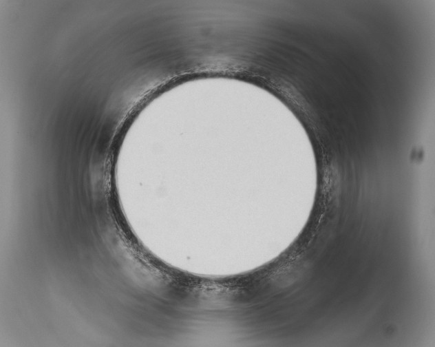 X0000114680632200911181231