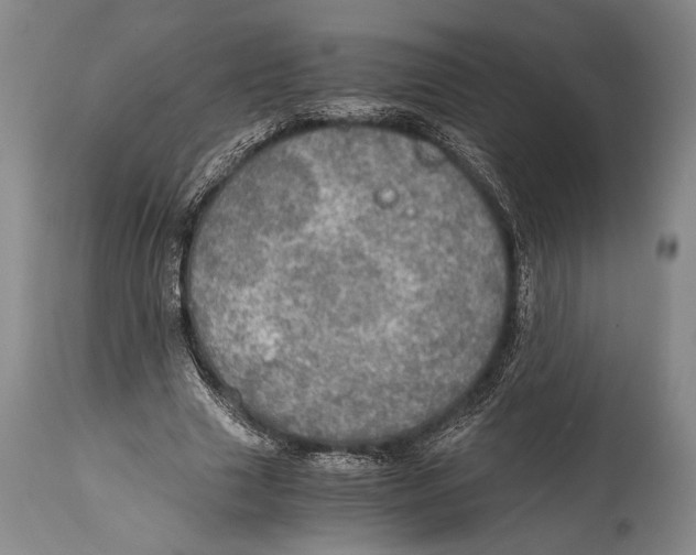 X0000114680633200911181231