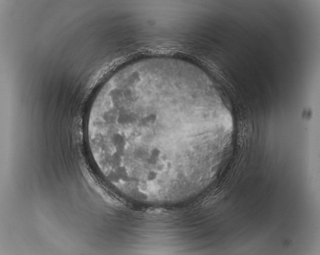 X0000114680634200911181231