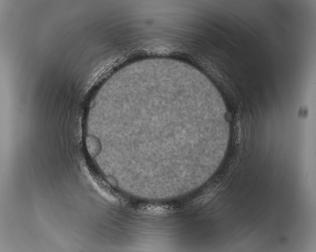 X0000114680638200911181231