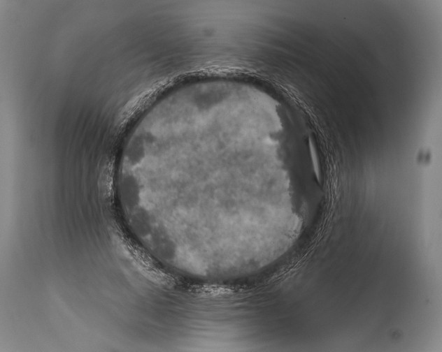 X0000114680640200911181231