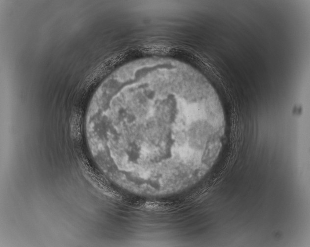 X0000114680641200911181231