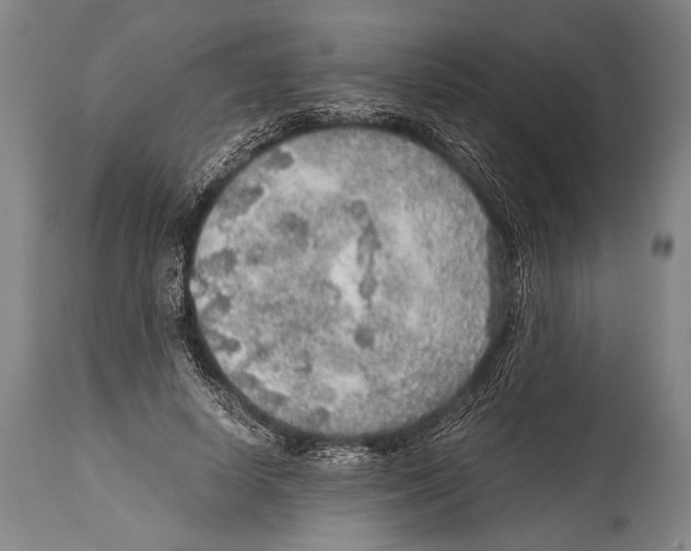 X0000114680642200911181231