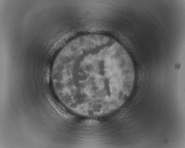 X0000114680644200911181231