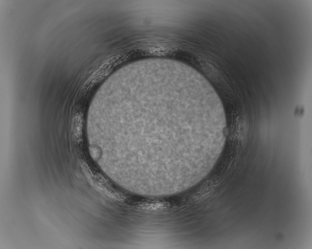 X0000114680646200911181231