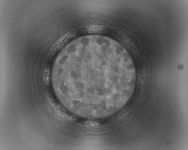 X0000114680648200911181231