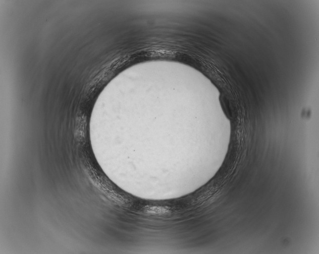 X0000114680649200911181231