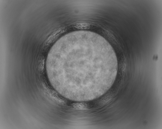 X0000114680652200911181231