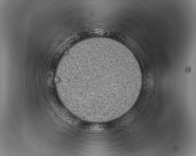 X0000114680656200911181231
