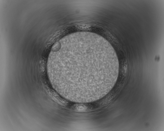 X0000114680658200911181231