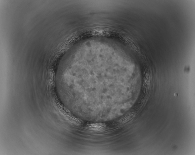 X0000114680659200911181231