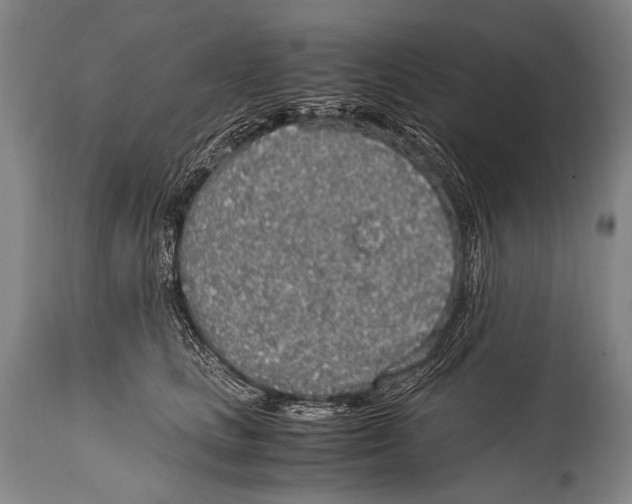 X0000114680661200911181231