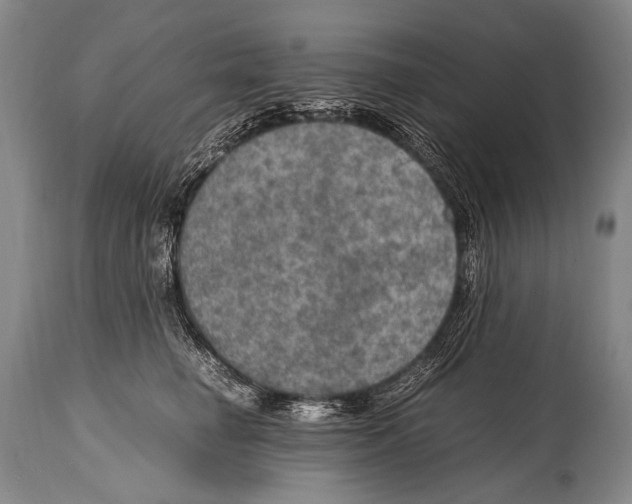 X0000114680662200911181231